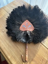 African ostrich feather - african,