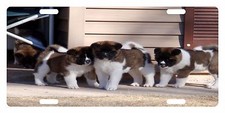 AKITA DOG Custom License Plate