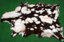 New Goat hide Rug Hair on Area Rug Size 36"x26" Animal Leather Goat Skin G-330