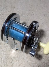 Salt Fisher Multiplyer Fishing