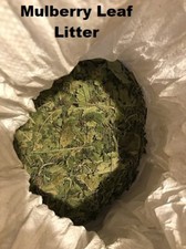 Dried Mulberry / Nettle Leaves for Cherry & Bee shrimp Caridina Neocaridina 