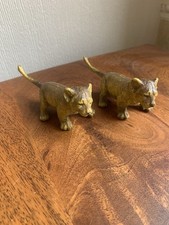 AAA/ELC Lion Cubs