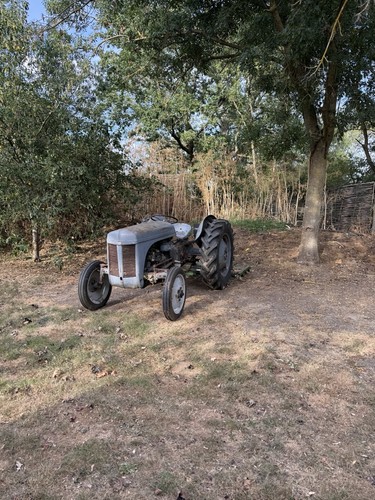Grey ferguson tractor - ferguson,
