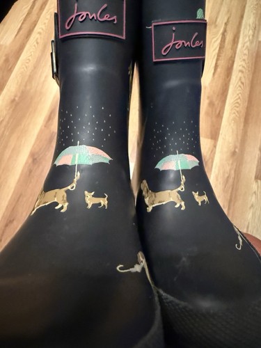 Joules molly welly - molly,