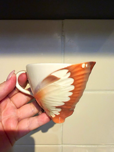 Franz xp1907 porcelain cup - porcelain,
