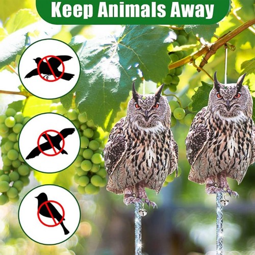 Owl decoy bird - decoy, deterrent