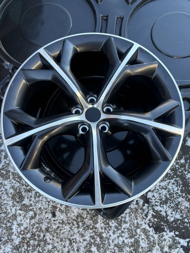 Genuine jaguar type x - type,