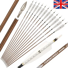 31" Pure Carbon Arrows Archery