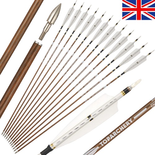 Pure carbon arrows - 31",