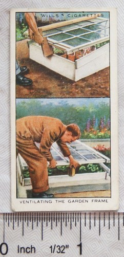 1938 wills garden hints - 1938, no.