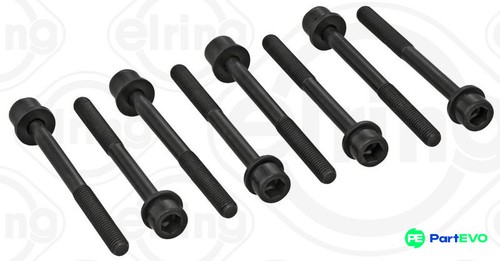 Elring cylinder head bolt - head, set