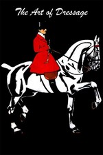 363667 horse horseback - 363667, of