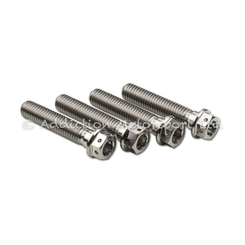 Titanium front fork pinch - fork,