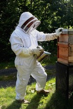 Beekeeping Suit with Fencing