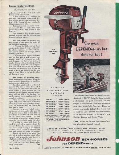 Magazine 1956 johnson - ad,