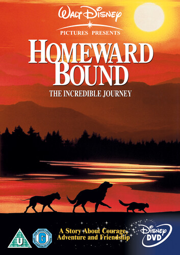Homeward bound dvd - homeward,