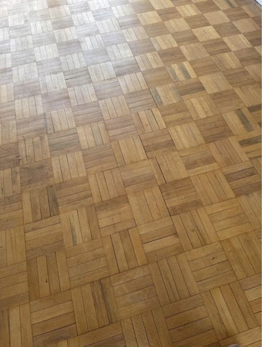Finger beech parquet - ,