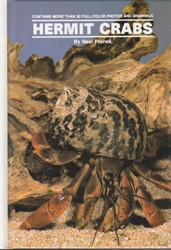 Hermit crabs land - as, pets