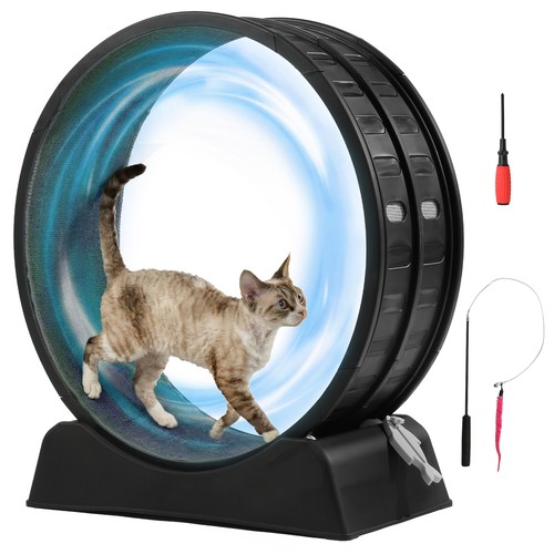 Cat exercise wheel large - cat,