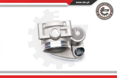 Throttle body for
