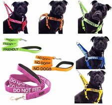 Dexil Dog Harness or Short