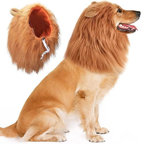 Pet costume lion - lion, for