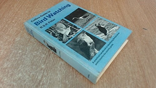 Collins guide bird - guide,