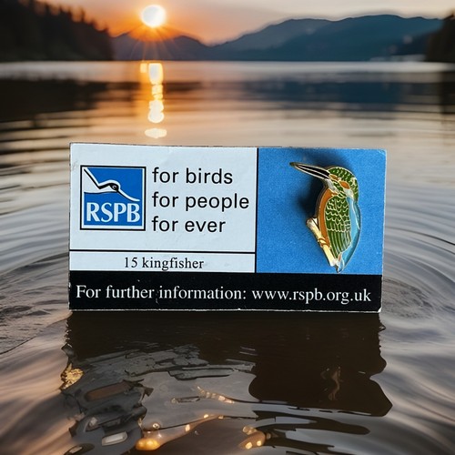 Rspb pin badge number 32 - -pin,