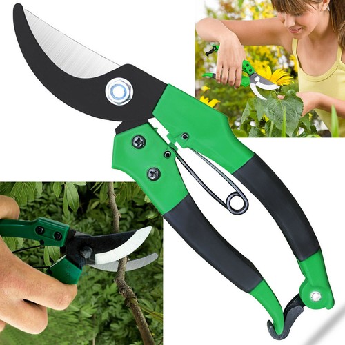 Pruning shears garden - 🔥8",