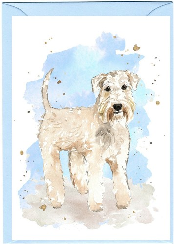Soft coated wheaten - soft, terrier