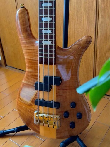 Spector early model electric - early-model, /
