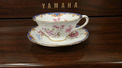 Vintage shelley england fine - shelley,
