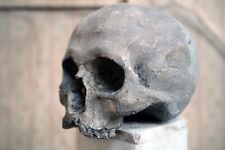 Antique Early/Mid 20thC Papier-Mâché Model of a Human Skull on Marble Stand