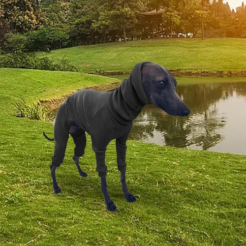 Dog hoodie portable - dog,