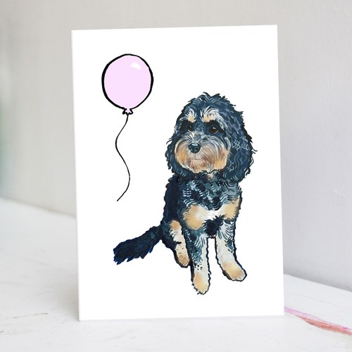 Tricolour cockapoo birthday - cockapoo,