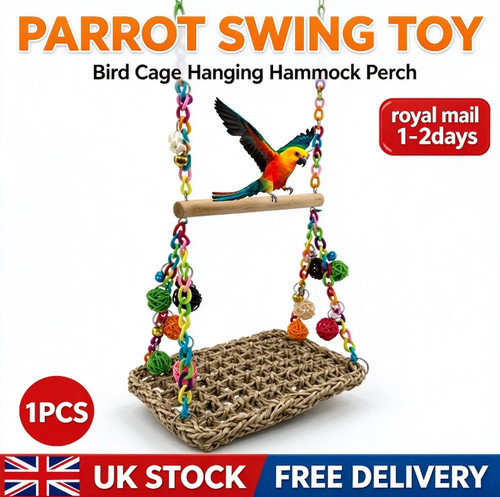 Parrot swing bird toy - bird,