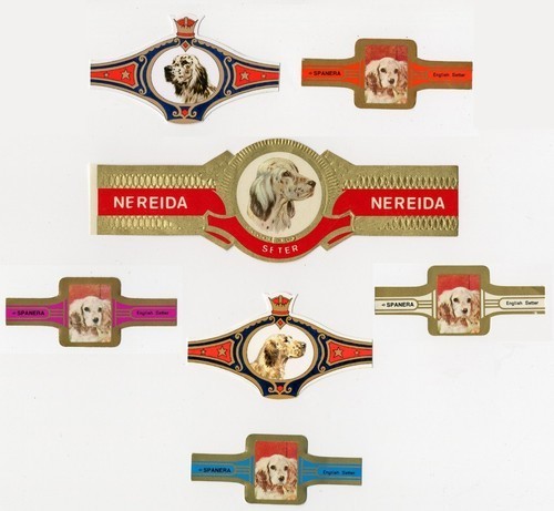English setter collection - english, of