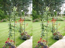 Metal Garden Arch Rose Plant