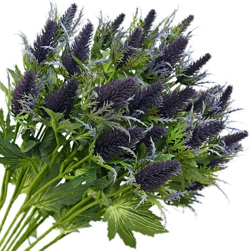 Fiveseasonstuff stems real - stems,