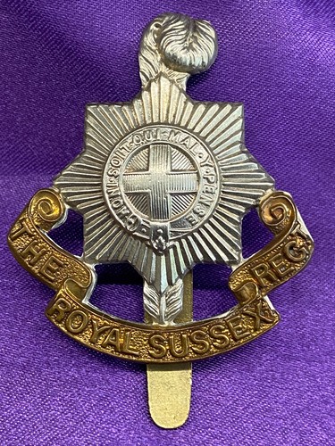 Genuine ww1 the royal sussex - ww1/2,