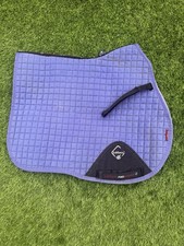 Lemieux Large Blueberry GP