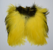 Yellow Magpie Breast Cape (75)