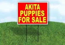 Akita PUPPIES FOR SALE YELLOW