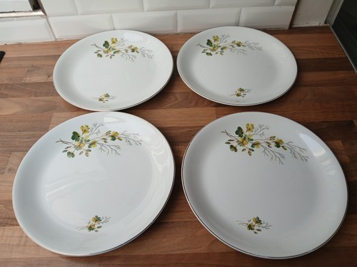Vintage alfred meakin wild - vintage,