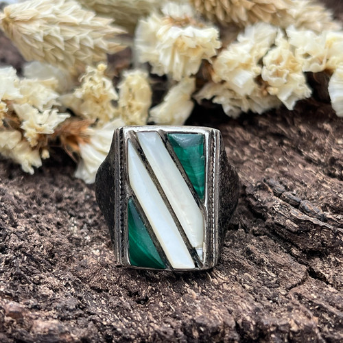 Vintage 1970 native - vintage,