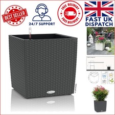 Self watering cube - self-watering,