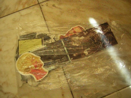 Pearl jam promo ceiling mobile - promo,