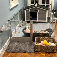 XL Acrylic Dog Playpen Clear