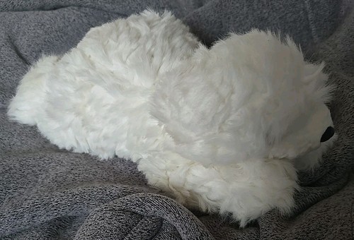 Polar bear soft cuddly - bear,