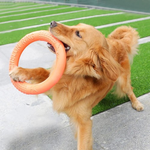 Indestructible dog ring toy - dog,